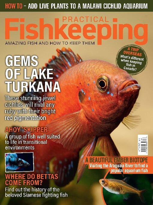 Title details for Practical Fishkeeping by Warners Group Publications Plc - Available